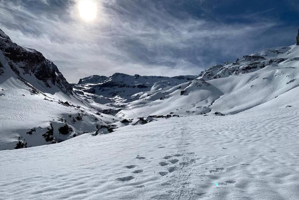 Studio Cabine Piau-Engaly Au Pied Des Pistes Арануе Екстериор снимка